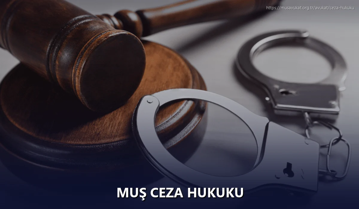 Muş Ceza Hukuku